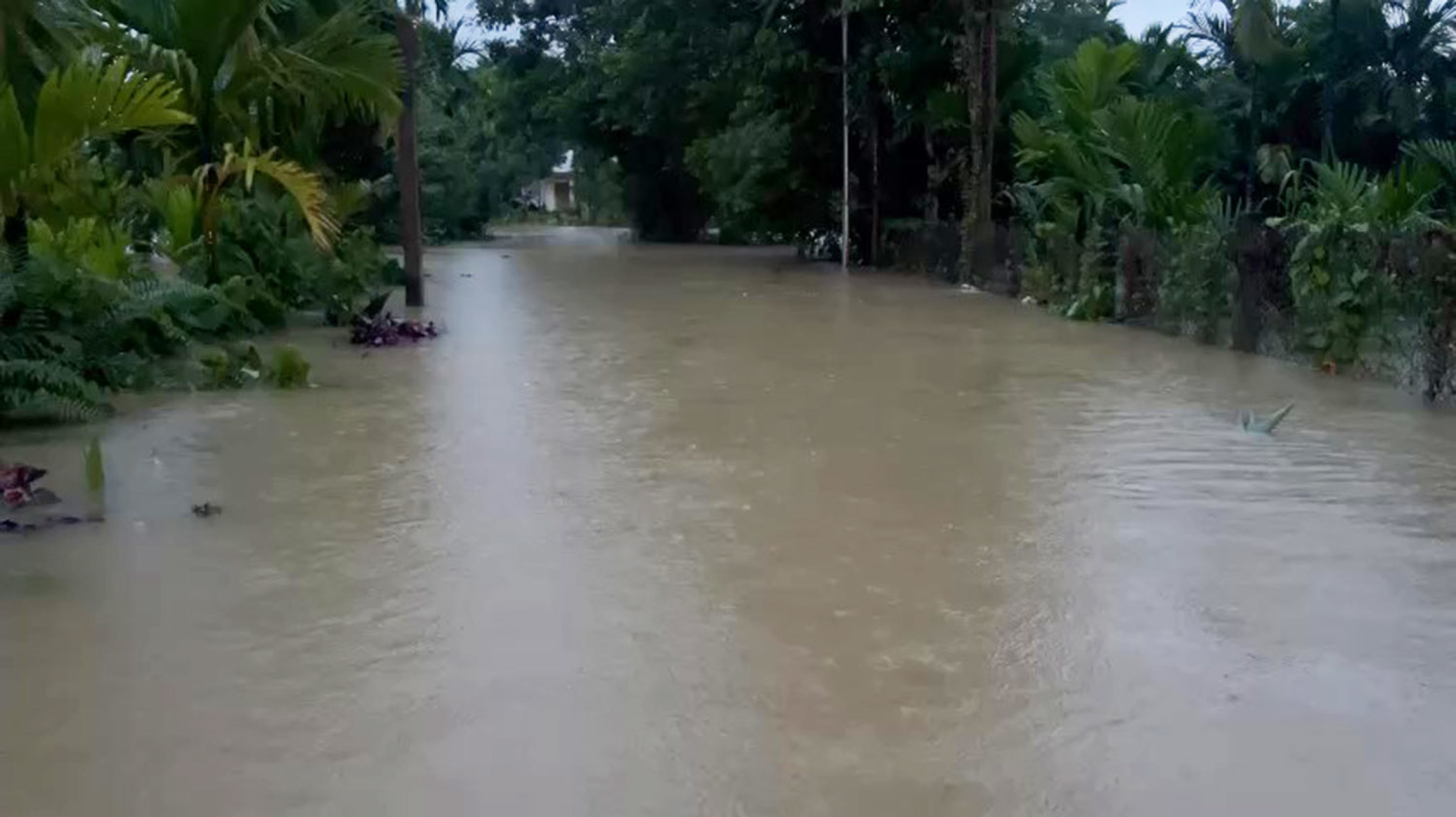武嘉河、秋盆河水位迅速上涨,岘港多地洪水泛滥